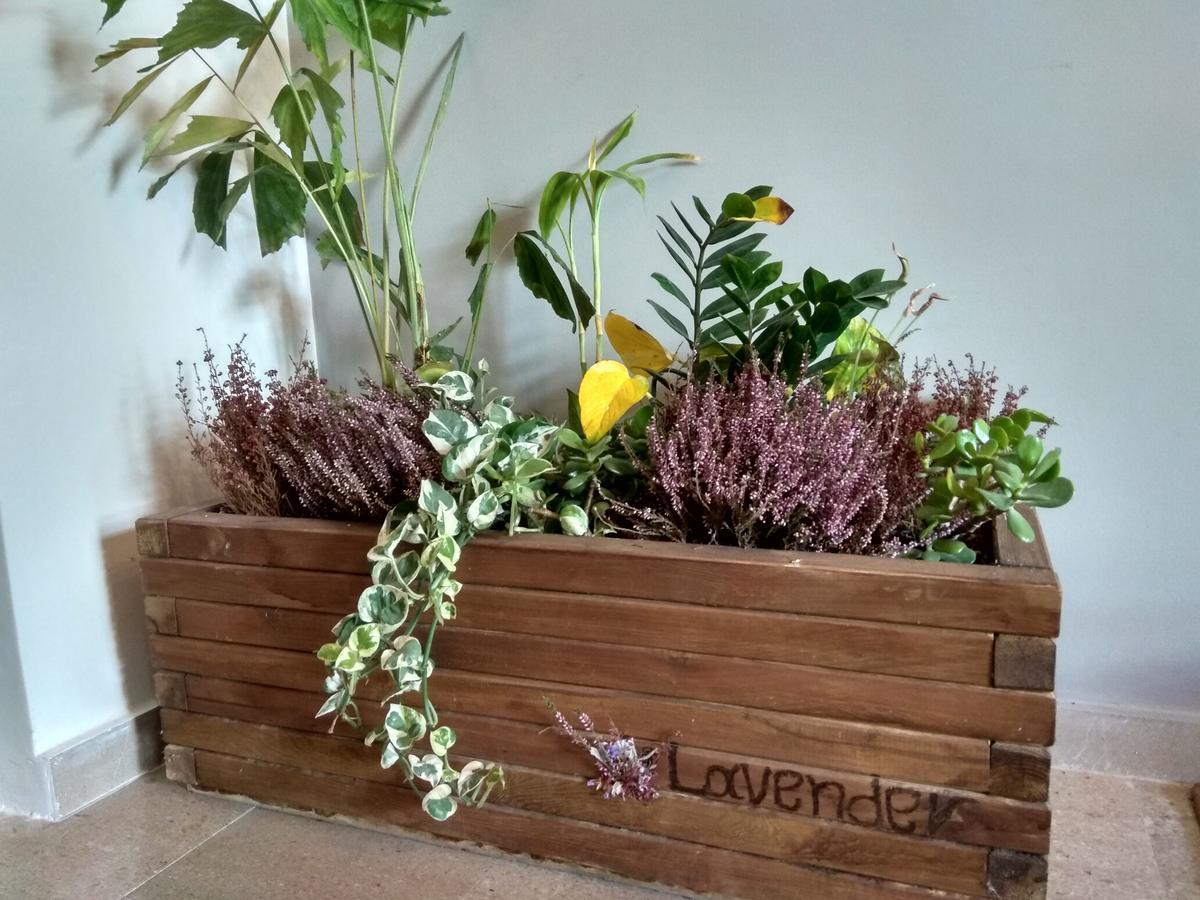 Lavender Apartment กาลามาตา ภายนอก รูปภาพ